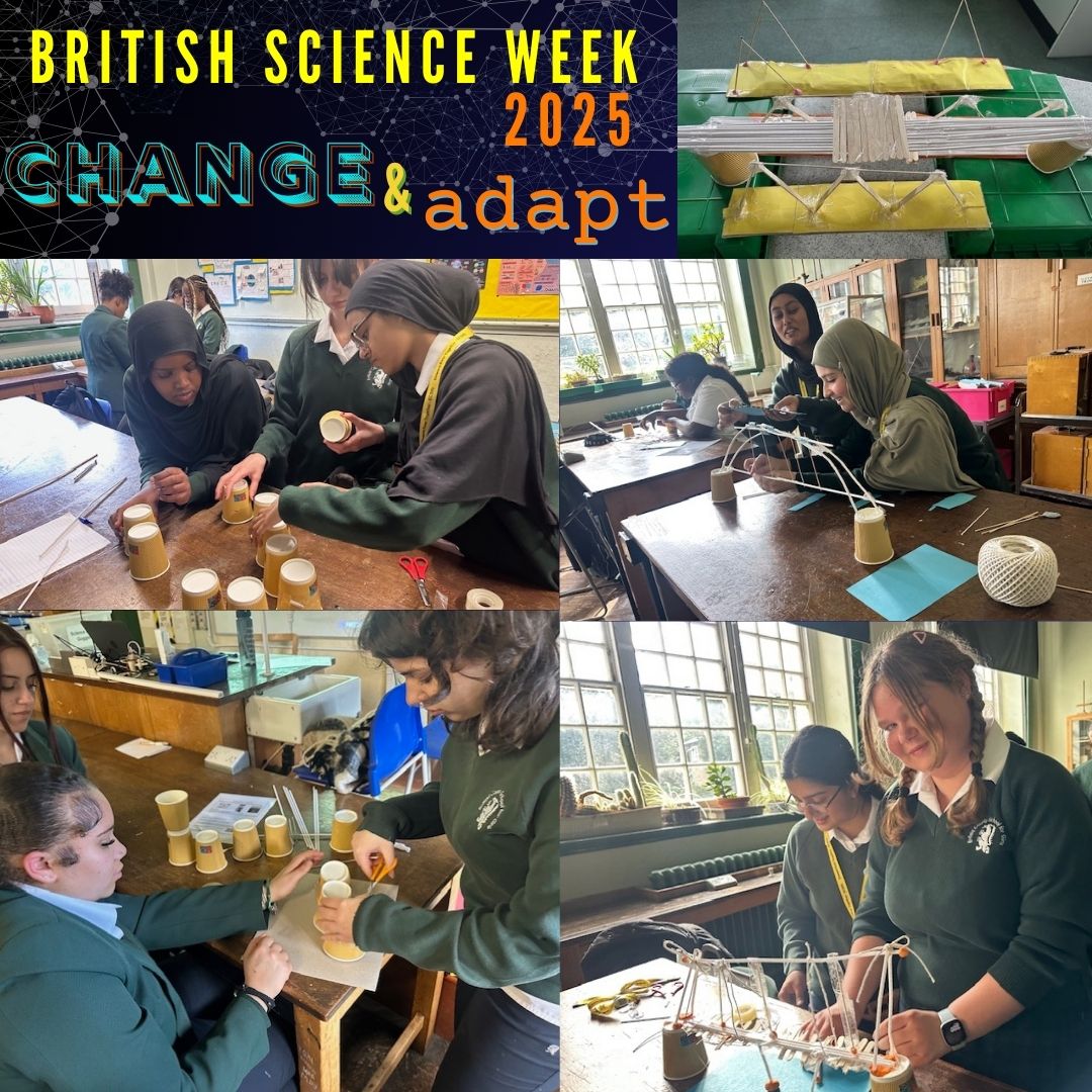 British Science Week 2025 - student experiments